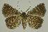  ( - BC EF Alc 00797)  @14 [ ] Copyright (2010) Unspecified Research Collection of Egbert Friedrich