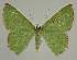  ( - BC EF Alc 00837)  @14 [ ] Copyright (2010) Unspecified Research Collection of Egbert Friedrich