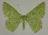  ( - BC EF Alc 00843)  @14 [ ] Copyright (2010) Unspecified Research Collection of Egbert Friedrich