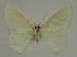  ( - BC EF Alc 00843)  @12 [ ] Copyright (2010) Unspecified Research Collection of Egbert Friedrich