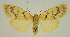  ( - BC EF Alc 00855)  @14 [ ] Copyright (2010) Unspecified Research Collection of Egbert Friedrich