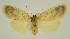  ( - BC EF Alc 00855)  @13 [ ] Copyright (2010) Unspecified Research Collection of Egbert Friedrich