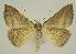  ( - BC EF Alc 00873)  @13 [ ] Copyright (2010) Unspecified Research Collection of Egbert Friedrich