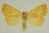  ( - BC EF Alc 00876)  @14 [ ] Copyright (2010) Unspecified Research Collection of Egbert Friedrich