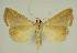  ( - BC EF Alc 00881)  @13 [ ] Copyright (2010) Unspecified Research Collection of Egbert Friedrich