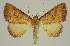  ( - BC EF Alc 00884)  @14 [ ] Copyright (2010) Unspecified Research Collection of Egbert Friedrich