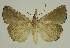  ( - BC EF Alc 00885)  @13 [ ] Copyright (2010) Unspecified Research Collection of Egbert Friedrich