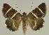 ( - BC EF Alc 00893)  @14 [ ] Copyright (2010) Unspecified Research Collection of Egbert Friedrich