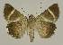  ( - BC EF Alc 00893)  @14 [ ] Copyright (2010) Unspecified Research Collection of Egbert Friedrich