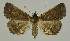 ( - BC EF Alc 00895)  @13 [ ] Copyright (2010) Unspecified Research Collection of Egbert Friedrich