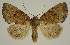  ( - BC EF Alc 00903)  @13 [ ] Copyright (2010) Unspecified Research Collection of Egbert Friedrich