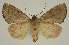  ( - BC EF Alc 00903)  @13 [ ] Copyright (2010) Unspecified Research Collection of Egbert Friedrich