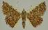  ( - BC EF Alc 00904)  @11 [ ] Copyright (2010) Unspecified Research Collection of Egbert Friedrich