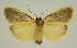  ( - BC EF Alc 00905)  @14 [ ] Copyright (2010) Unspecified Research Collection of Egbert Friedrich