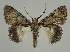  ( - BC EF Alc 00915)  @14 [ ] Copyright (2010) Unspecified Research Collection of Egbert Friedrich