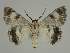  ( - BC EF Alc 00915)  @13 [ ] Copyright (2010) Unspecified Research Collection of Egbert Friedrich
