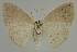  ( - BC EF Alc 00917)  @14 [ ] Copyright (2010) Unspecified Research Collection of Egbert Friedrich