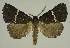  ( - BC EF Alc 00956)  @14 [ ] Copyright (2010) Unspecified Research Collection of Egbert Friedrich