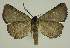  ( - BC EF Alc 00956)  @13 [ ] Copyright (2010) Unspecified Research Collection of Egbert Friedrich