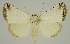  ( - BC EF Alc 00958)  @14 [ ] Copyright (2010) Unspecified Research Collection of Egbert Friedrich