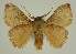  ( - BC EF Alc 00959)  @12 [ ] Copyright (2010) Unspecified Research Collection of Egbert Friedrich