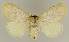  ( - BC EF Alc 01160)  @13 [ ] Copyright (2010) Unspecified Research Collection of Egbert Friedrich