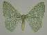  ( - BC EF Alc 01174)  @14 [ ] Copyright (2010) Unspecified Research Collection of Egbert Friedrich