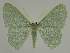  ( - BC EF Alc 01175)  @14 [ ] Copyright (2010) Unspecified Research Collection of Egbert Friedrich