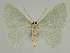  ( - BC EF Alc 01175)  @13 [ ] Copyright (2010) Unspecified Research Collection of Egbert Friedrich