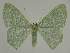  ( - BC EF Alc 01176)  @14 [ ] Copyright (2010) Unspecified Research Collection of Egbert Friedrich