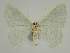  ( - BC EF Alc 01176)  @13 [ ] Copyright (2010) Unspecified Research Collection of Egbert Friedrich