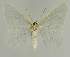  ( - BC EF Alc 01182)  @13 [ ] Copyright (2010) Unspecified Research Collection of Egbert Friedrich