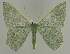 ( - BC EF Alc 01183)  @14 [ ] Copyright (2010) Unspecified Research Collection of Egbert Friedrich