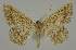  ( - BC EF Alc 01188)  @13 [ ] Copyright (2010) Unspecified Research Collection of Egbert Friedrich