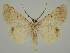  ( - BC EF Alc 01189)  @13 [ ] Copyright (2010) Unspecified Research Collection of Egbert Friedrich
