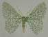  ( - BC EF Alc 01190)  @14 [ ] Copyright (2010) Unspecified Research Collection of Egbert Friedrich