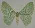  ( - BC EF Alc 01192)  @14 [ ] Copyright (2010) Unspecified Research Collection of Egbert Friedrich