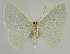  ( - BC EF Alc 01192)  @13 [ ] Copyright (2010) Unspecified Research Collection of Egbert Friedrich