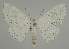  ( - BC EF Alc 01196)  @14 [ ] Copyright (2010) Unspecified Research Collection of Egbert Friedrich