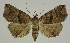  ( - BC EF Alc 01201)  @14 [ ] Copyright (2010) Unspecified Research Collection of Egbert Friedrich