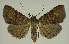  ( - BC EF Alc 01202)  @13 [ ] Copyright (2010) Unspecified Research Collection of Egbert Friedrich