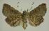  ( - BC EF Alc 01202)  @13 [ ] Copyright (2010) Unspecified Research Collection of Egbert Friedrich