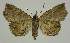  ( - BC EF Alc 01203)  @13 [ ] Copyright (2010) Unspecified Research Collection of Egbert Friedrich