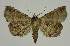  ( - BC EF Alc 01204)  @14 [ ] Copyright (2010) Unspecified Research Collection of Egbert Friedrich