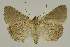  ( - BC EF Alc 01208)  @14 [ ] Copyright (2010) Unspecified Research Collection of Egbert Friedrich