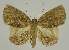  ( - BC EF Alc 01213)  @14 [ ] Copyright (2010) Unspecified Research Collection of Egbert Friedrich