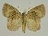  ( - BC EF Alc 01213)  @13 [ ] Copyright (2010) Unspecified Research Collection of Egbert Friedrich