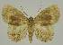  ( - BC EF Alc 01214)  @14 [ ] Copyright (2010) Unspecified Research Collection of Egbert Friedrich