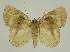  ( - BC EF Alc 01214)  @13 [ ] Copyright (2010) Unspecified Research Collection of Egbert Friedrich