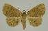  ( - BC EF Alc 01215)  @14 [ ] Copyright (2010) Unspecified Research Collection of Egbert Friedrich